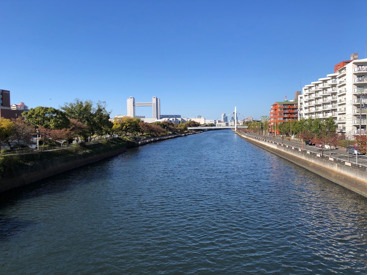 白鳥庭園 實景照片 6