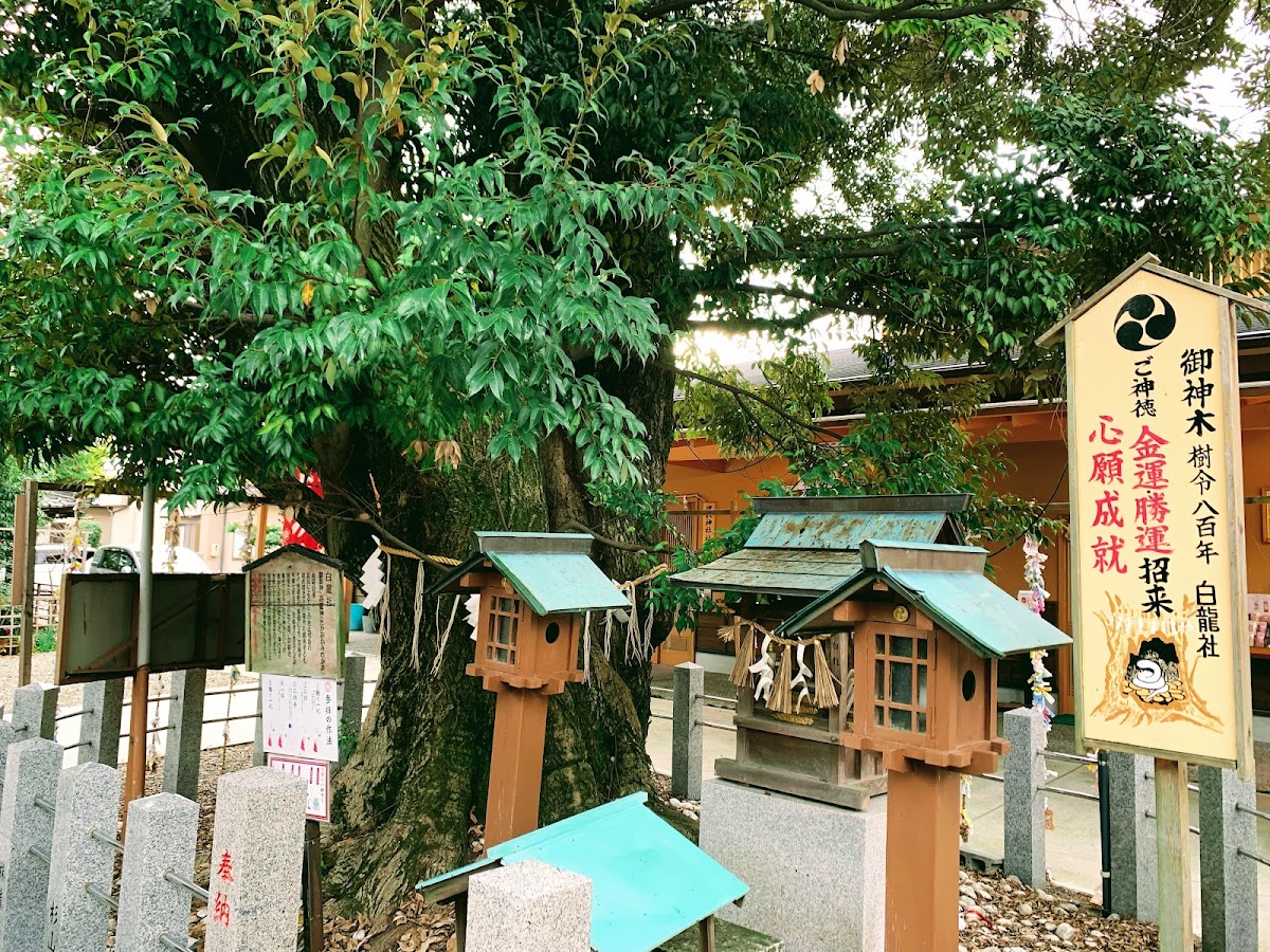 伊奴神社 實景照片 8