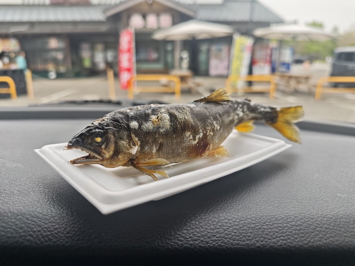 道之驛 關川(道の駅 関川) 實景照片 8