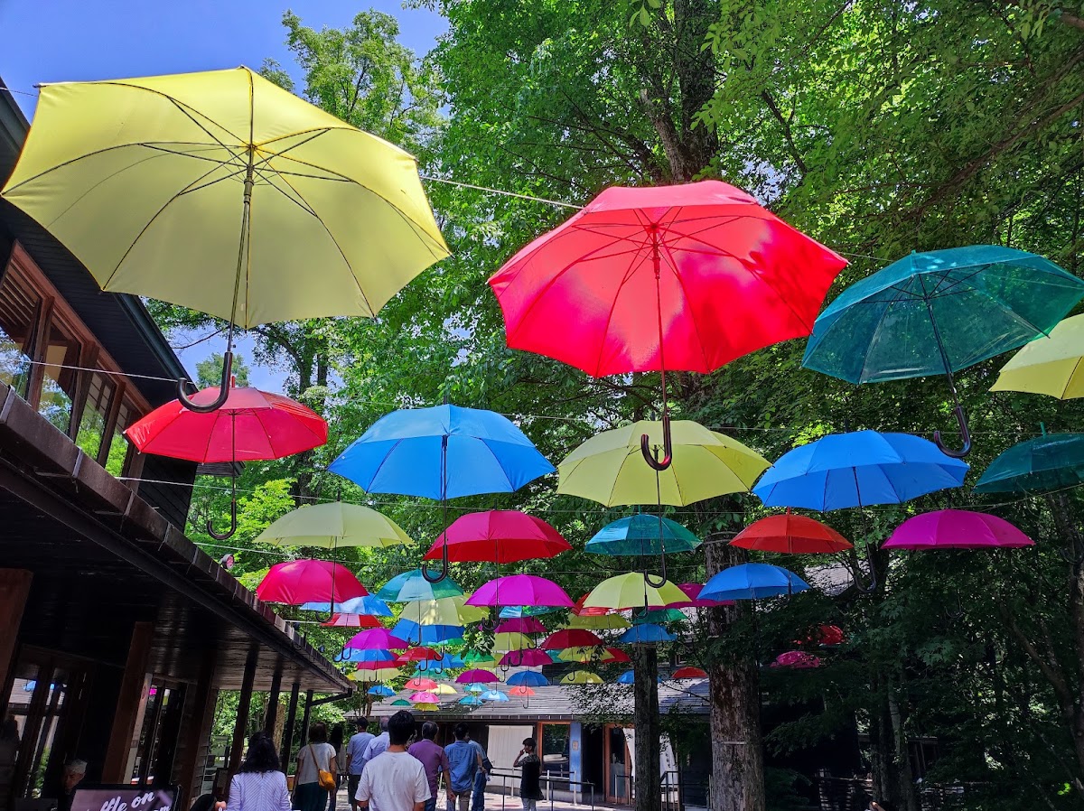 林間懸掛彩色雨傘街景