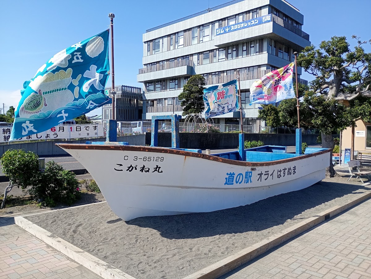 道之驛 蓮沼(道の駅 オライはすぬま) 實景照片 2