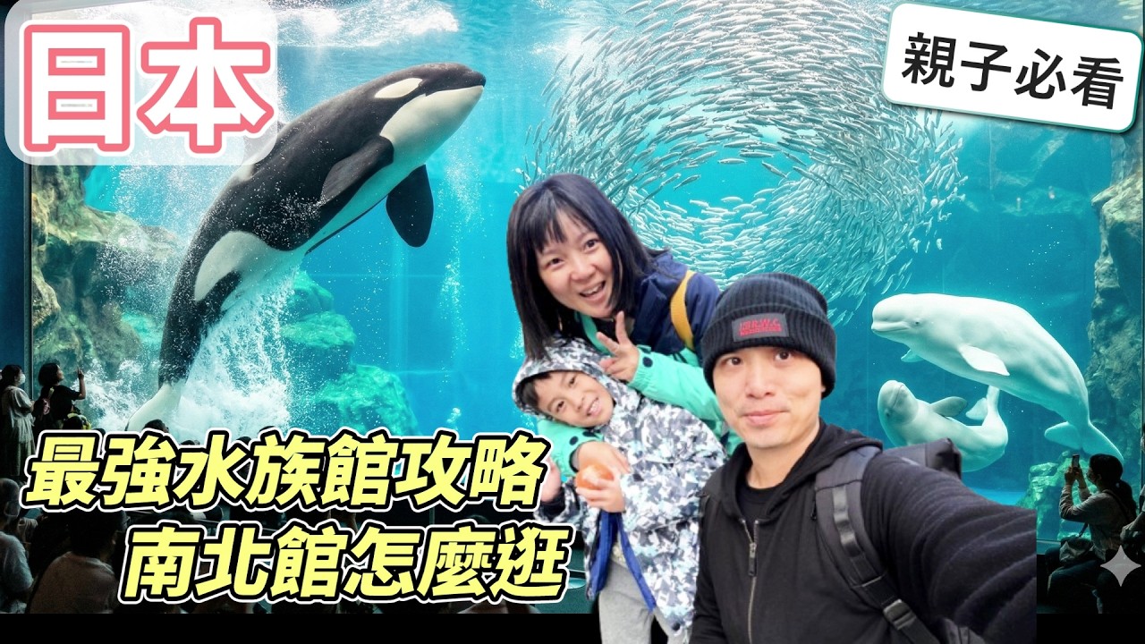【全日本規模最大】名古屋港水族館終極攻略! 錯過絕對後悔的震撼虎鯨秀、3萬隻沙丁魚龍捲風與夢幻小白鯨,這輩子必去一次【名古屋】