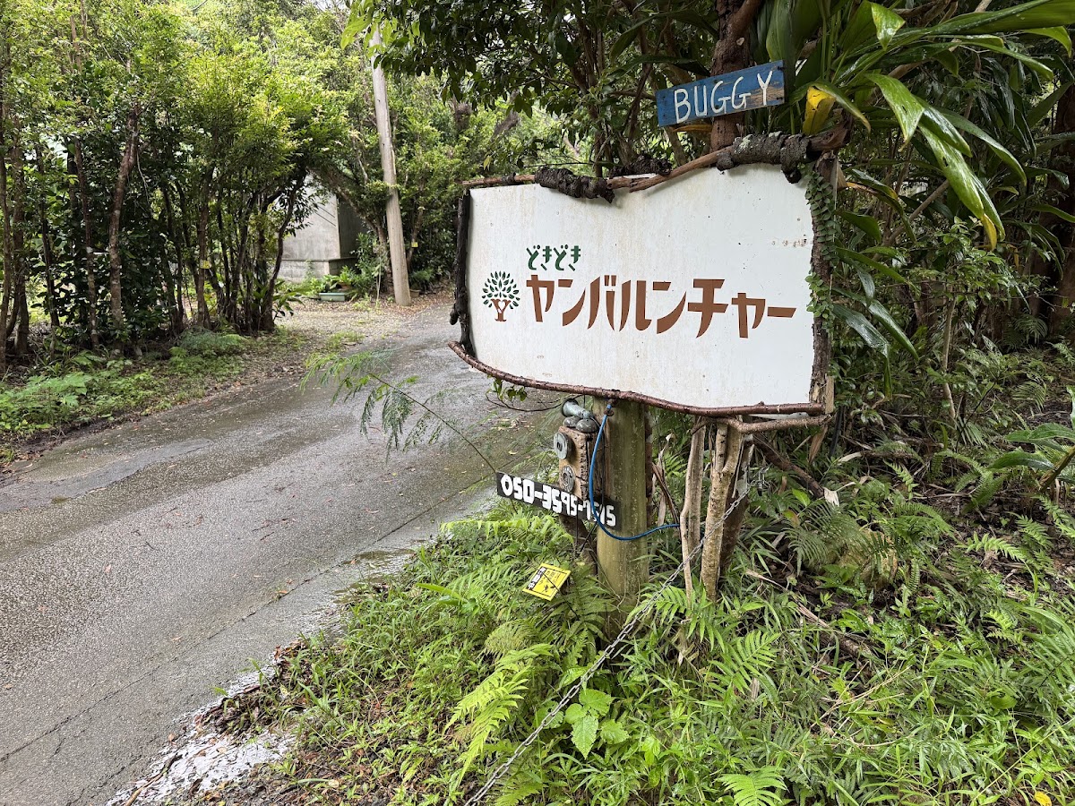 沖繩山地越野車體驗 Yambarunture 名護店（ヤンバルンチャー名護店） 實景照片 9