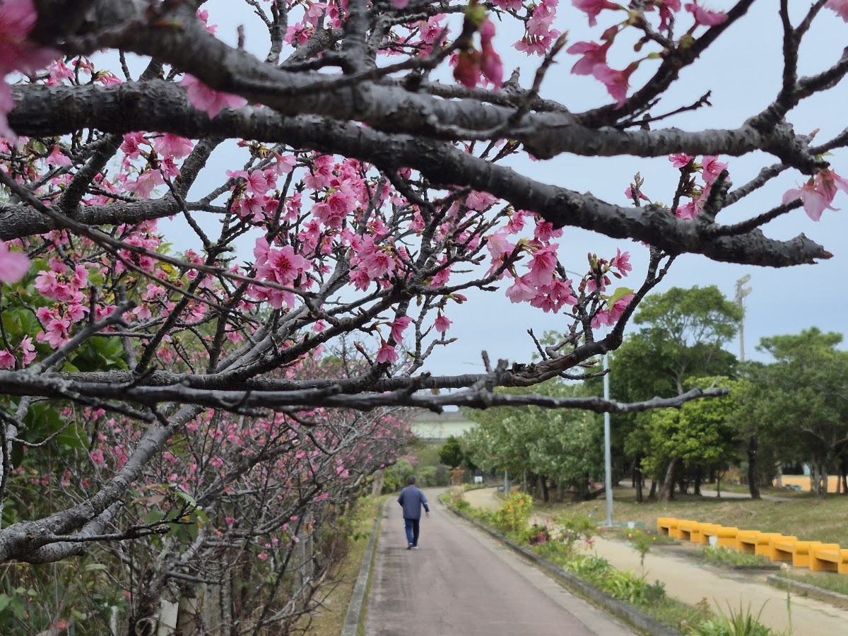漫湖公園 實景照片 1