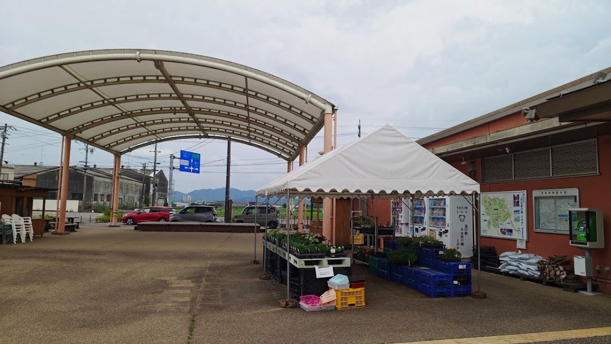 道之驛 半布里之鄉 富加(道の駅 半布里の郷 とみか) 實景照片 5
