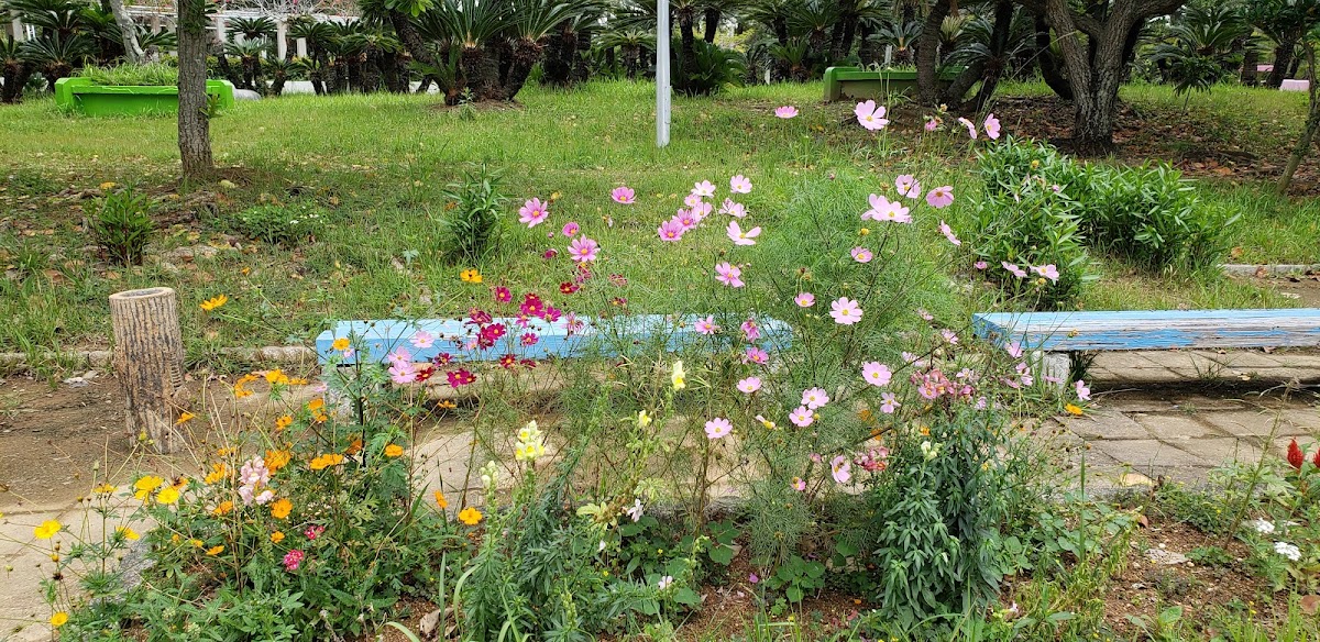 漫湖公園 實景照片 9