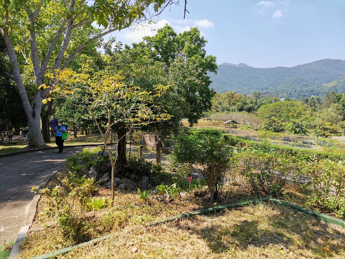 西貢獅子會自然教育中心停車場 實景照片 7