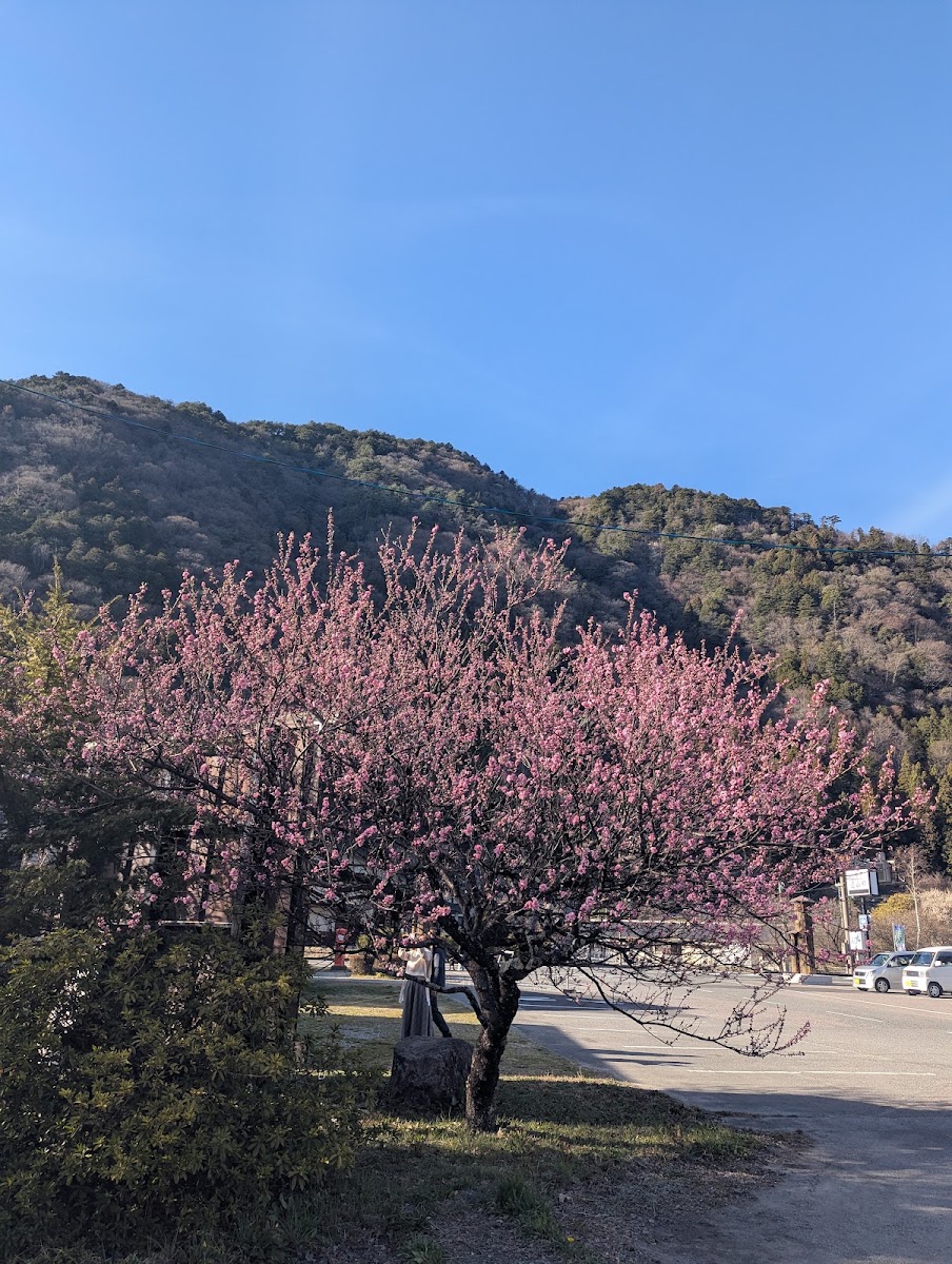 道之驛 遠山鄉(道の駅 遠山郷) 實景照片 9