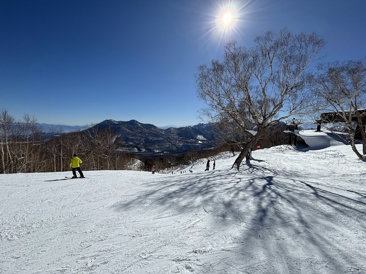 妙高杉之原滑雪場（妙高杉ノ原スキー場） 實景照片 10