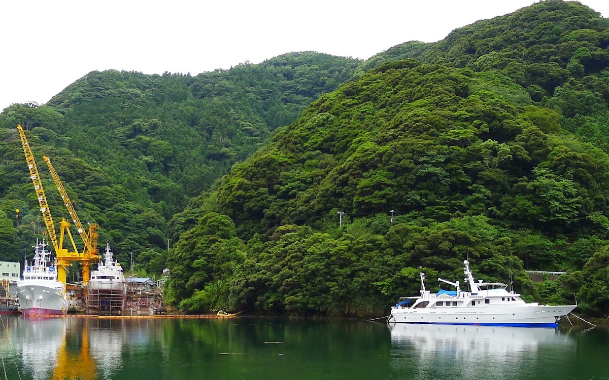 西伊豆安良里海之驛(にしいず・あらりしっぷ海の駅) 實景照片 9