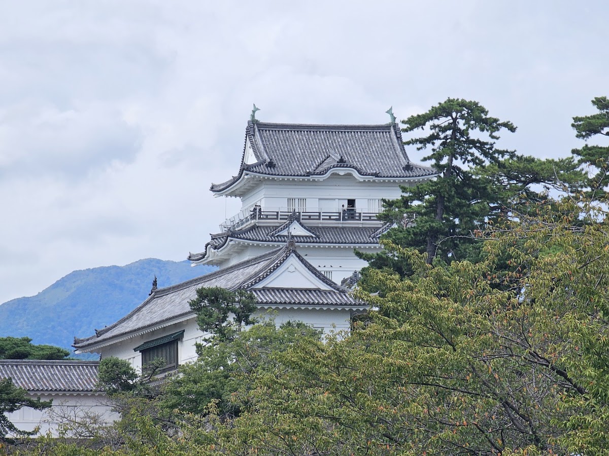 小田原城 實景照片 2