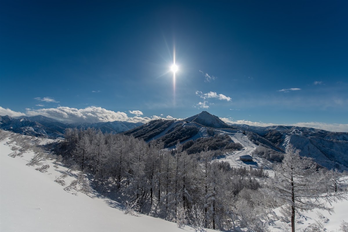 藍天白雲下的雪山與樹林大景