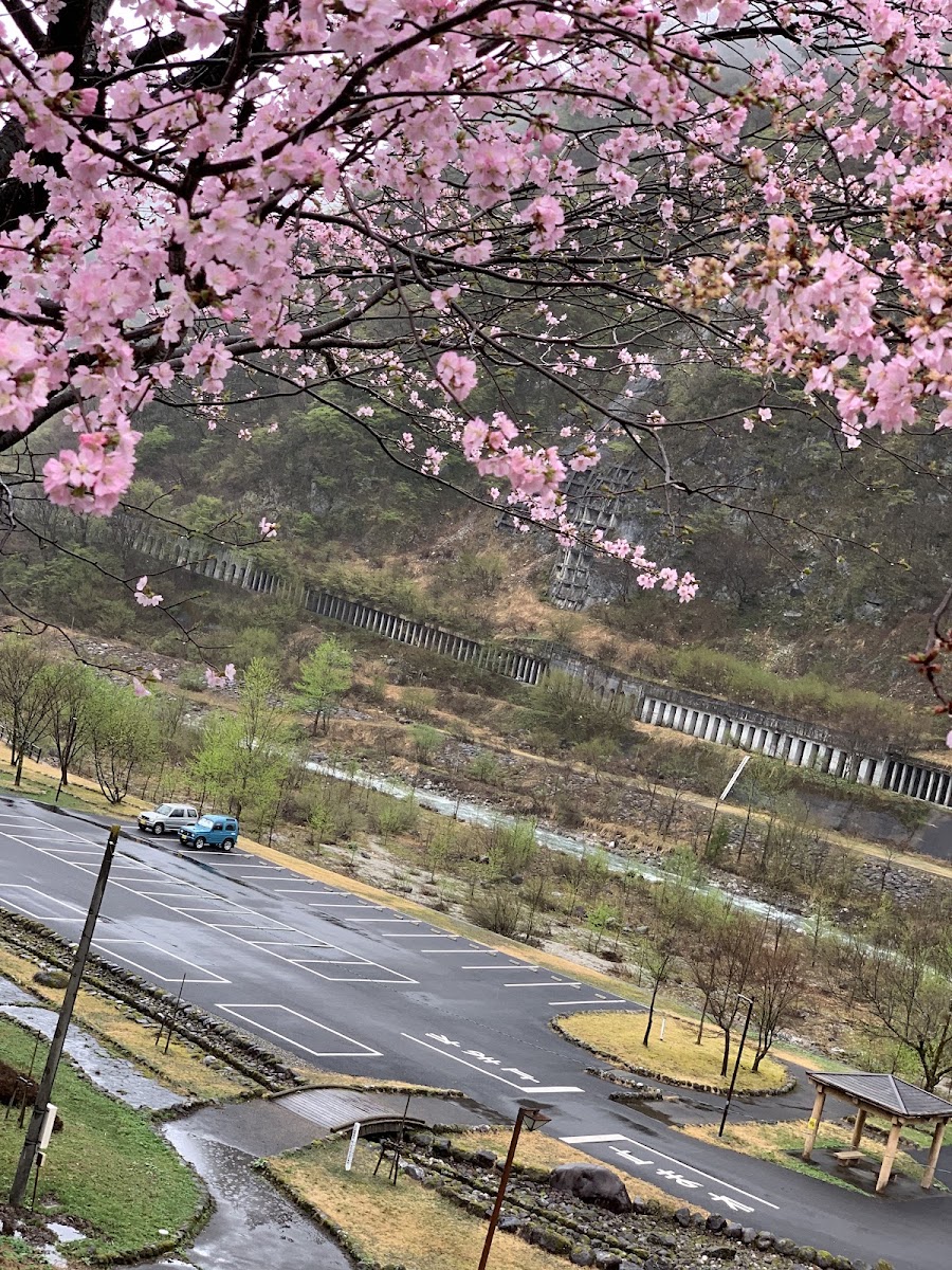 粉紅櫻花與山景停車場