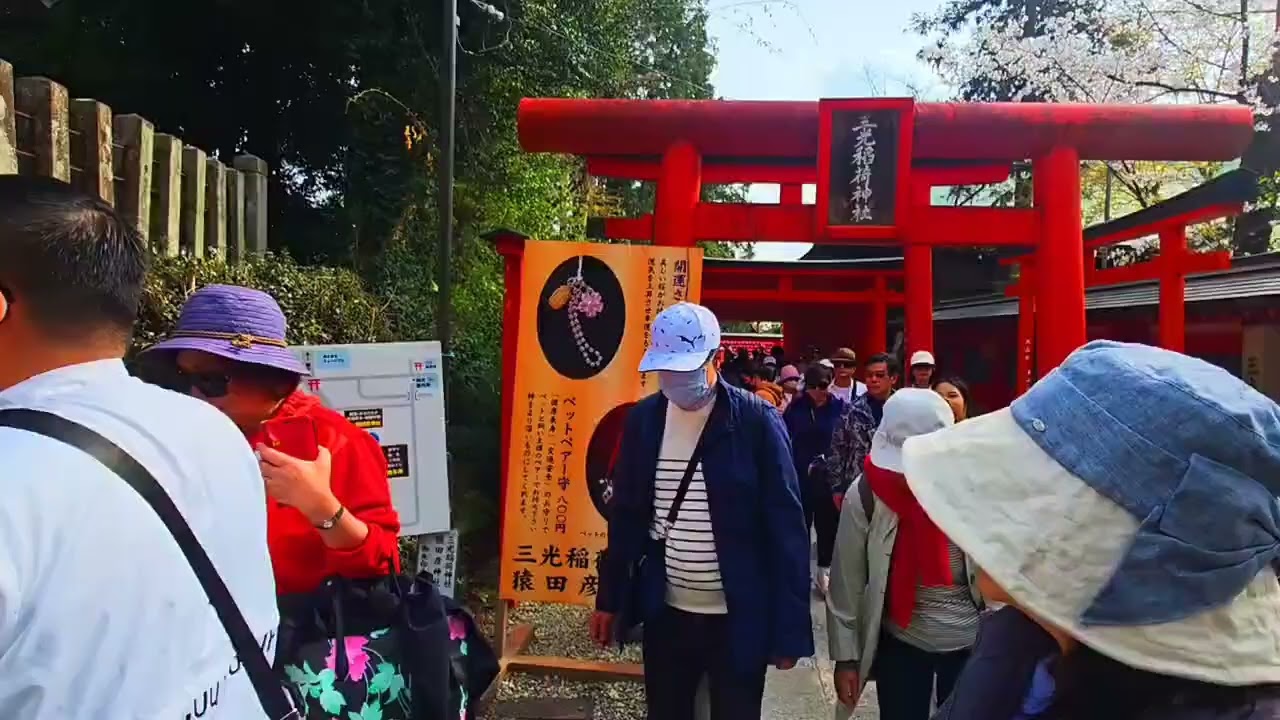 114 04 日本 日本庭園有樂苑