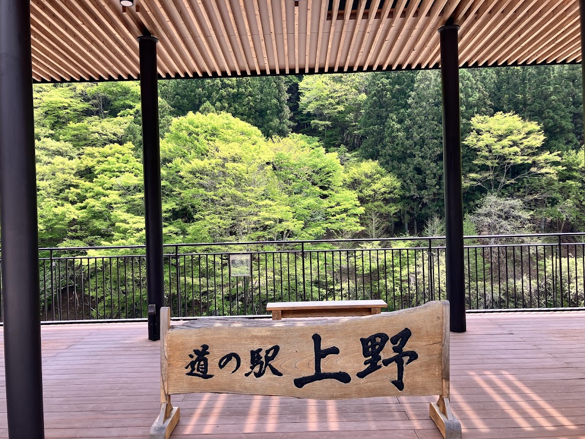 道之驛 上野(道の駅 上野) 實景照片 6
