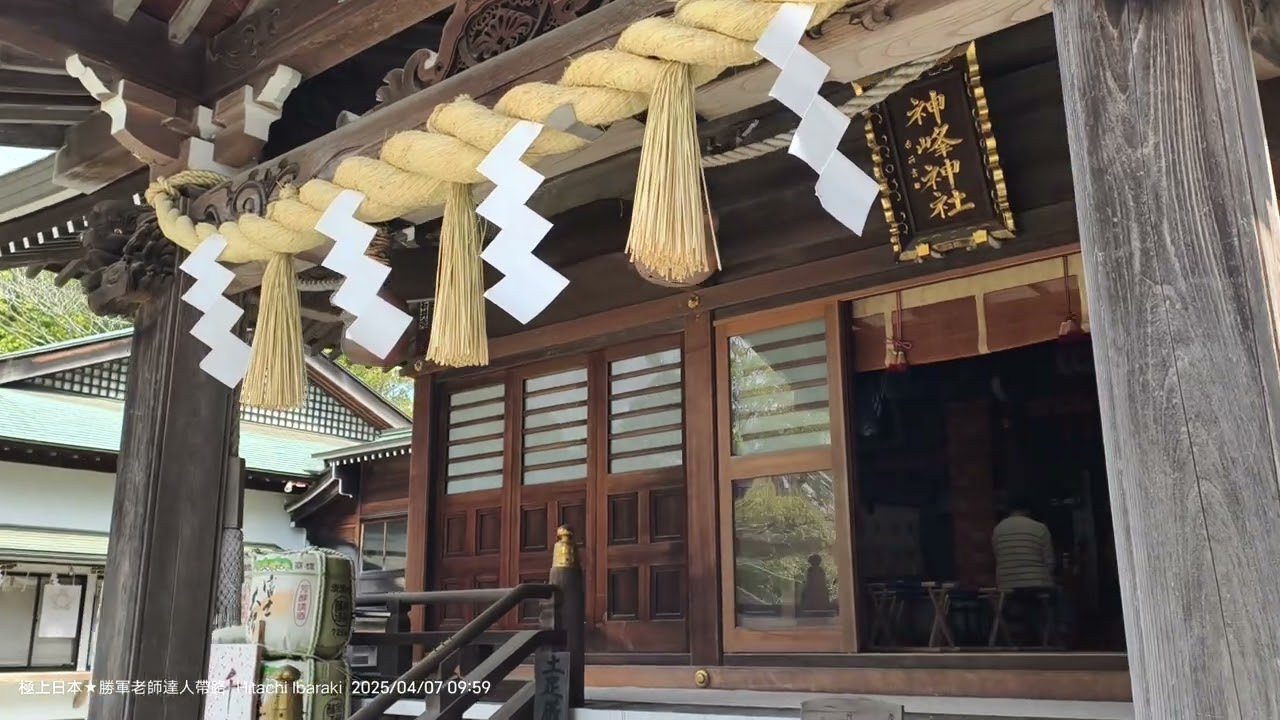 20250407 神峰公園內有「神峰神社」可參拜,這裡的枝垂櫻也是滿開,可惜10點開門營業的社務所不知為何沒開,沒買到御守跟御朱印