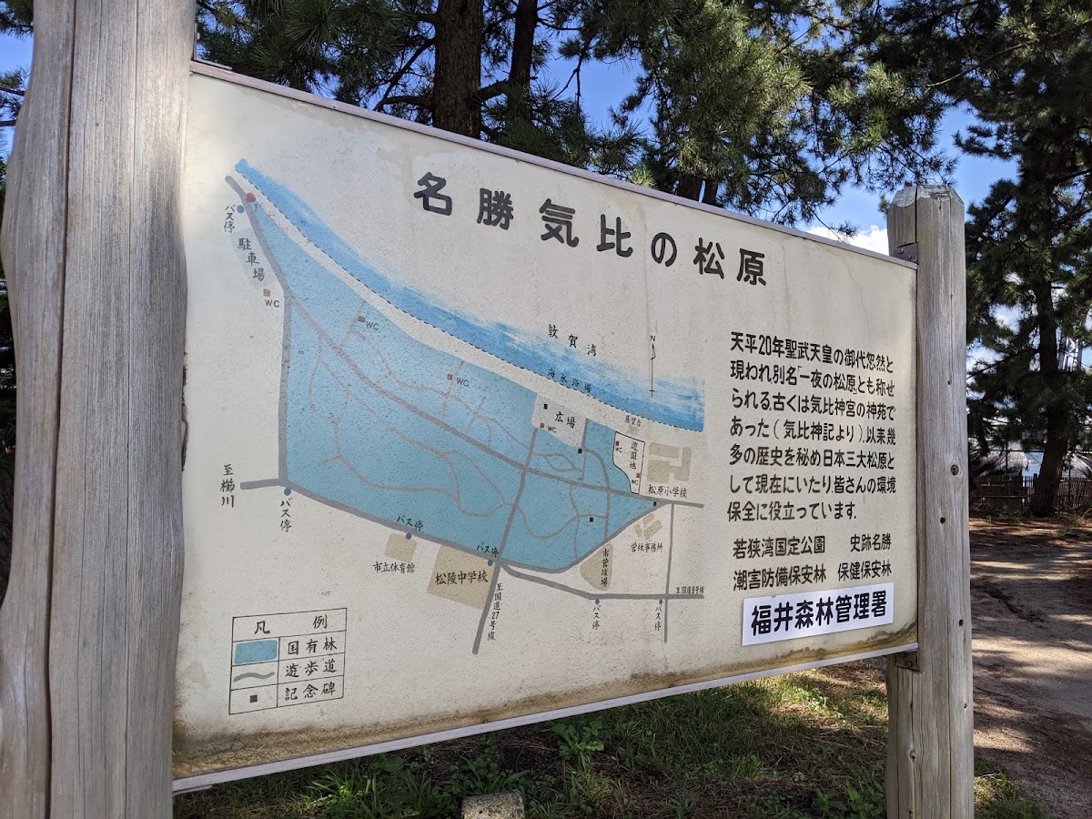 氣比松原（気比の松原） 實景照片 10