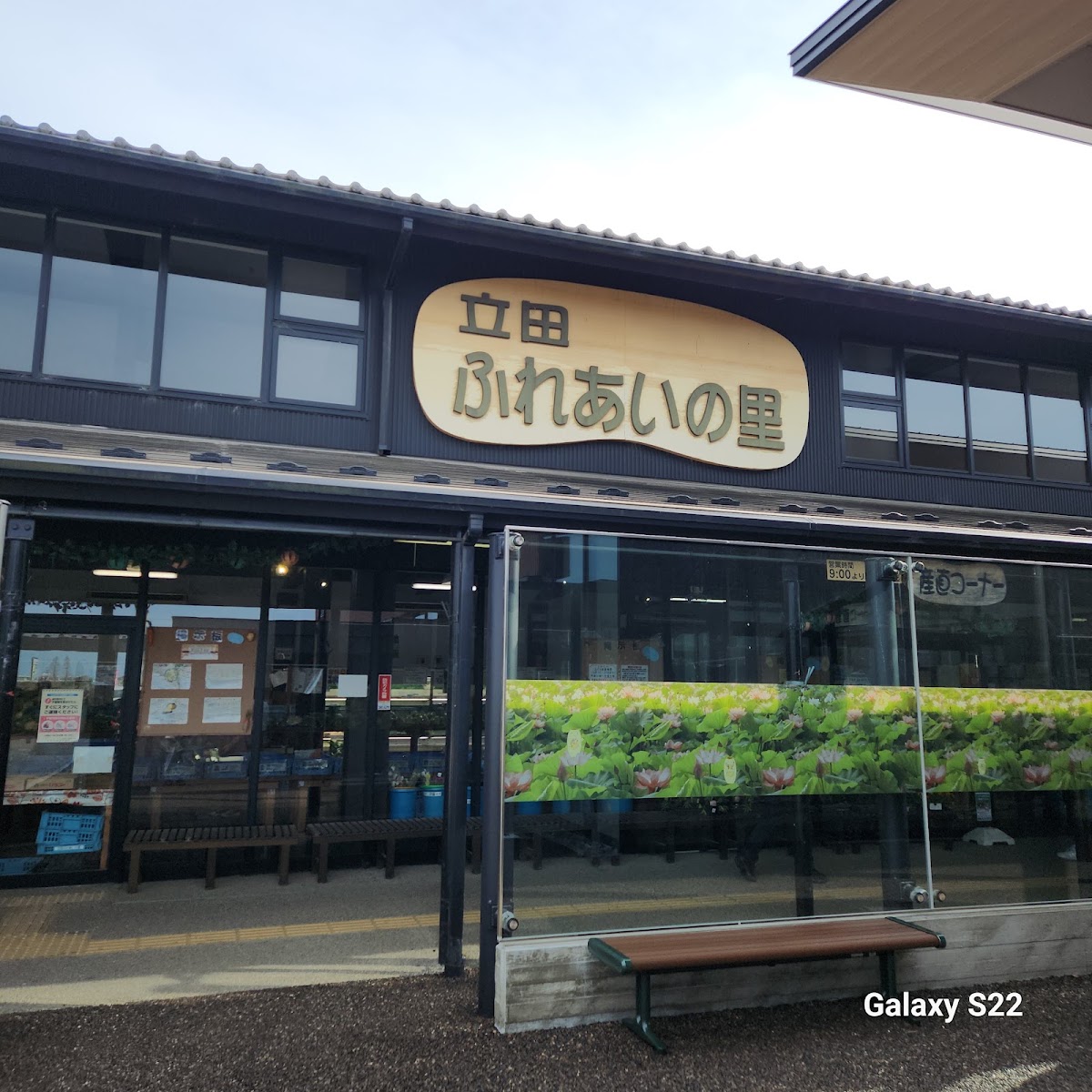 道之驛 觸愛之里HASU Park(道の駅 ふれあいの里HASUパーク) 實景照片 6