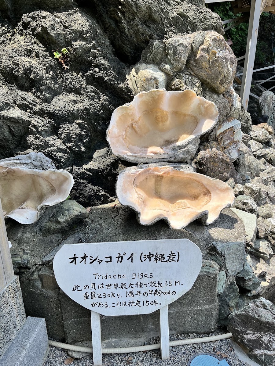 夫婦岩 實景照片 9