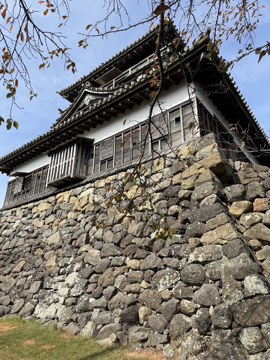 丸岡城城堡外觀與樹枝大景