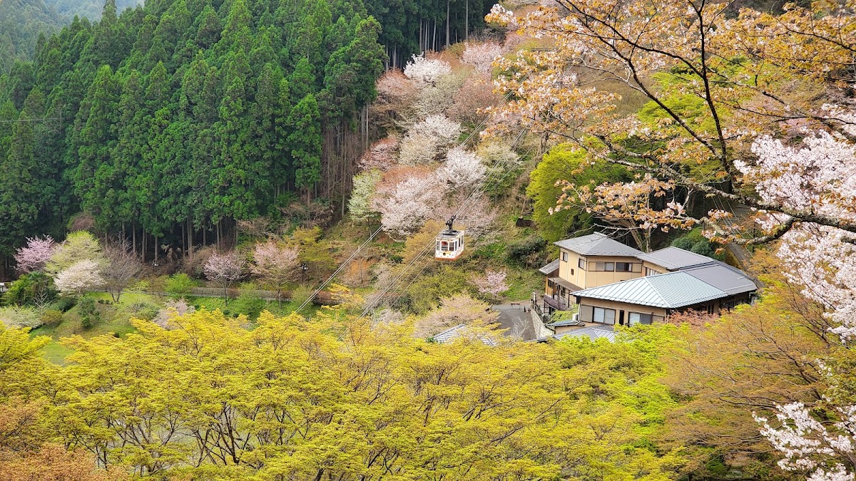 吉野山