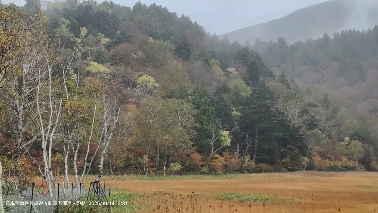 20251014 「尾瀬国立公園」含拍照大約1小時來到「尾瀬山の鼻ビジターセンター」,在遊客中心向日本大叔請益一些問題,得知「研究見本園」這一帶草紅葉最美