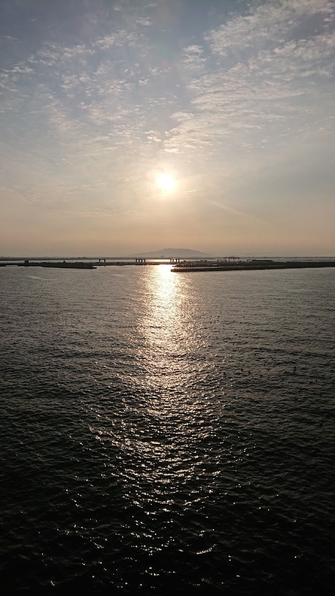 熊本港 實景照片 5