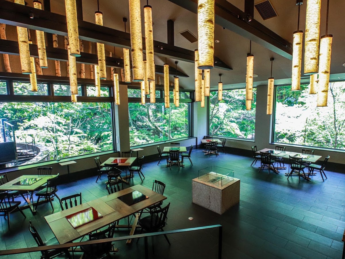 森林景觀餐廳與吊燈