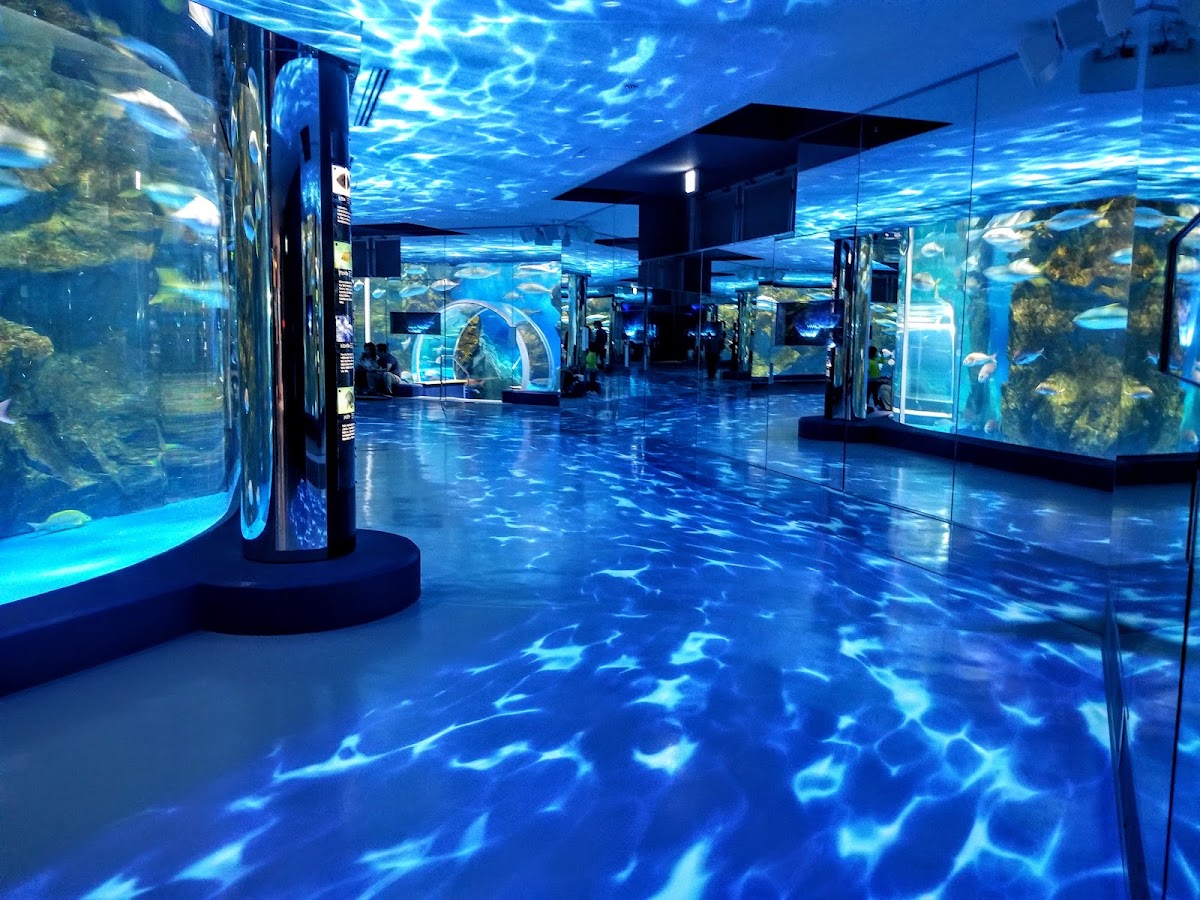 夢幻藍光室內水族空間