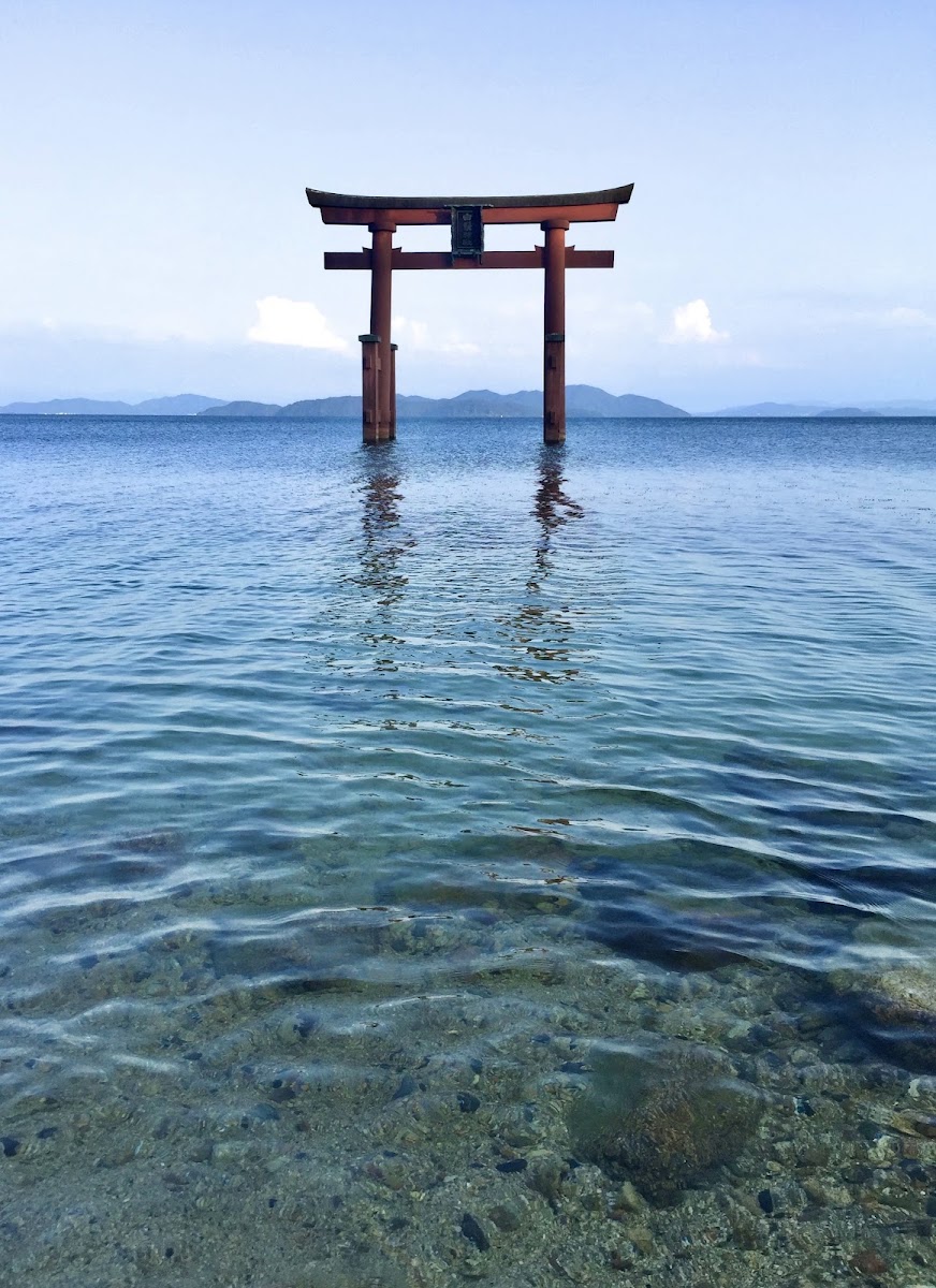 白鬚神社 實景照片 1