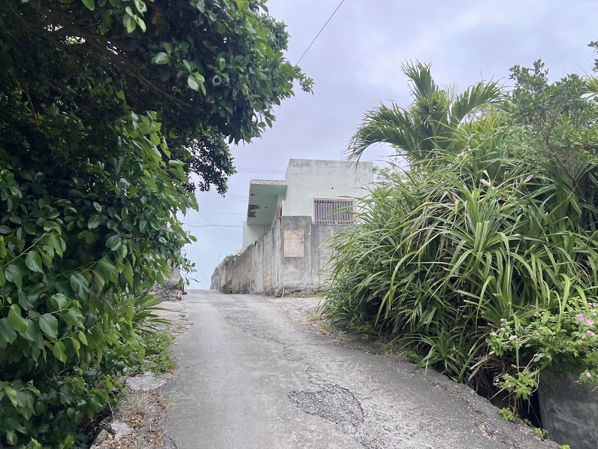 津堅島 實景照片 10