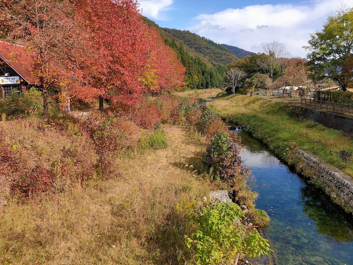 道之驛 朝來（道の駅 あさご） 實景照片 7