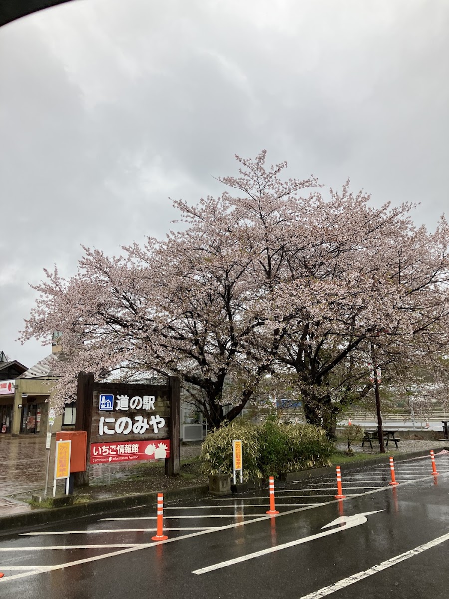 道之驛 二宮(道の駅 にのみや) 實景照片 10