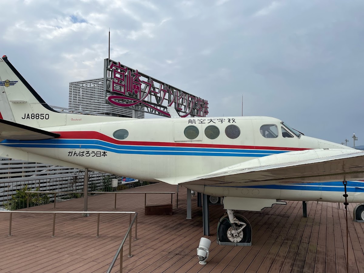宮崎機場 KMI(宮崎空港) 實景照片 7