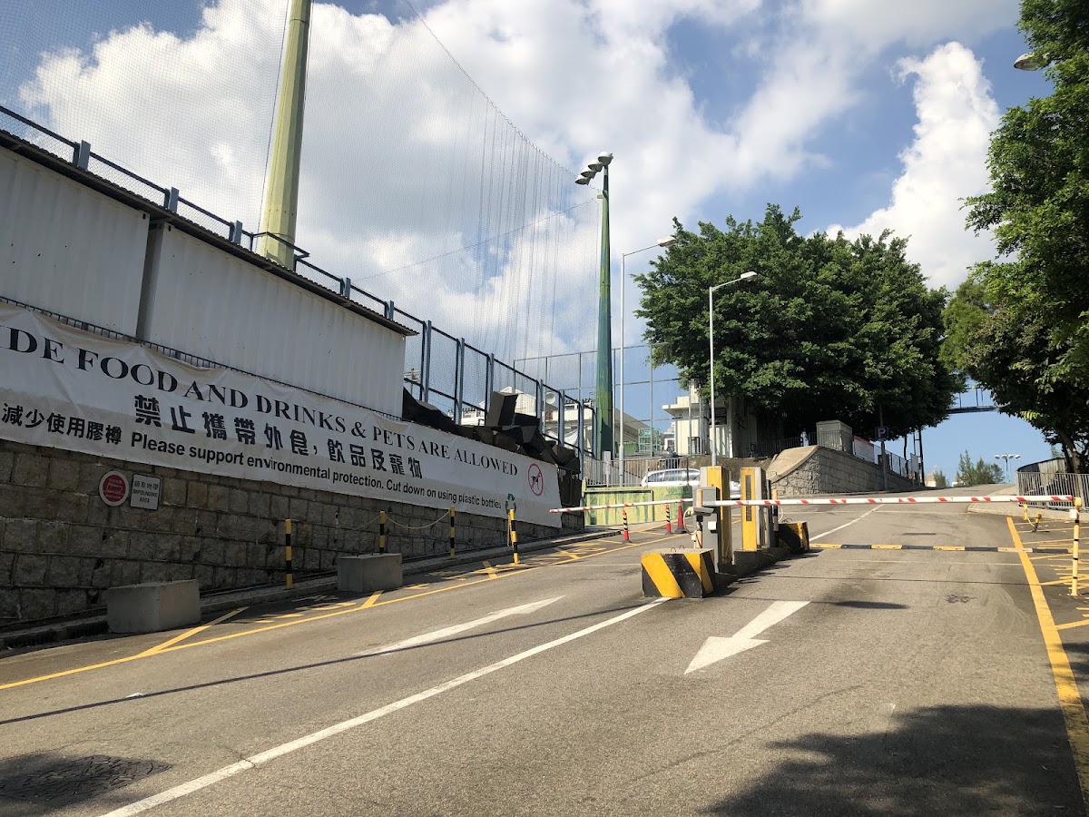 京士柏運動場停車場 實景照片 3