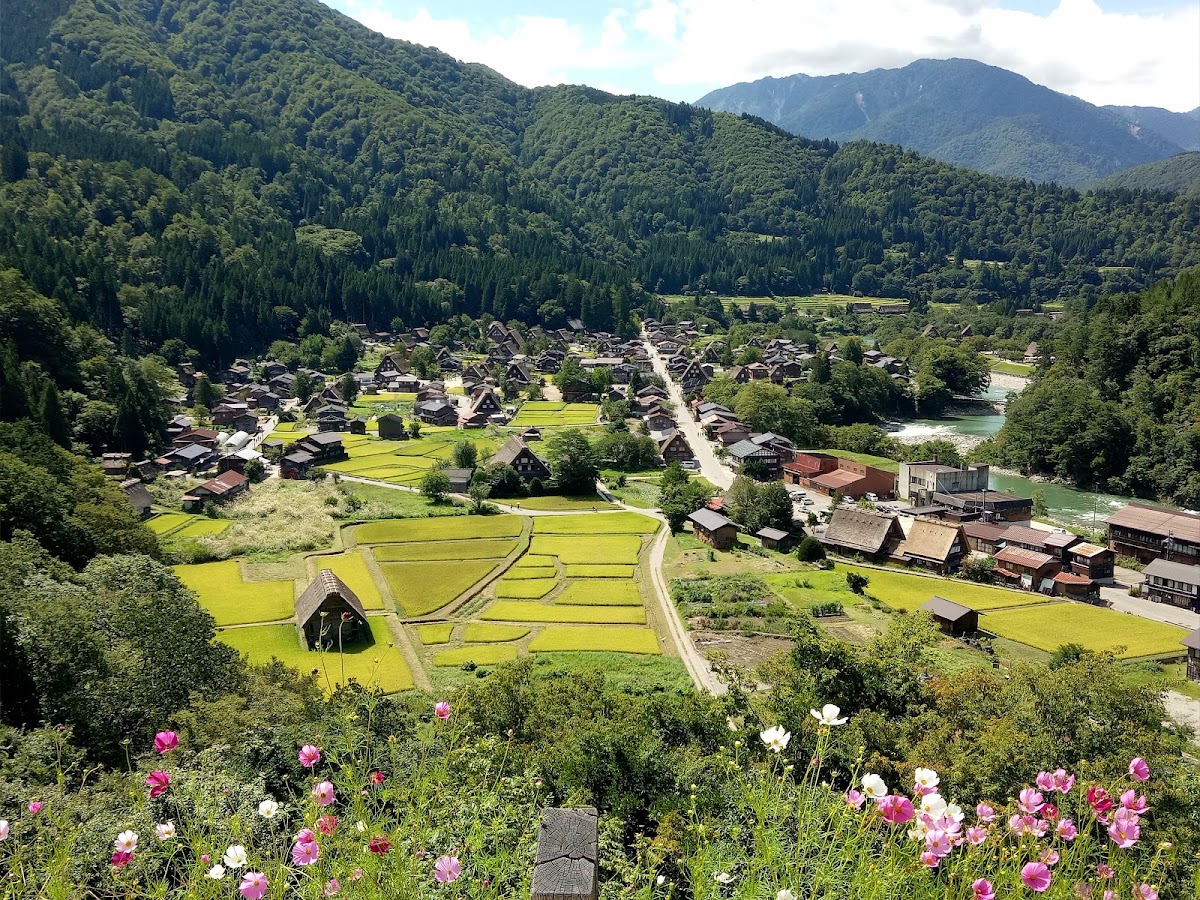 城山天守閣展望台（城山天守閣 展望台） 實景照片 6