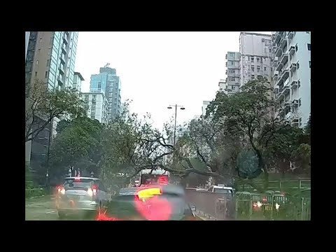 車CAM直擊 - 太子道西(往旺角方向)近勵德街 塌樹打中小巴 事發一刻
