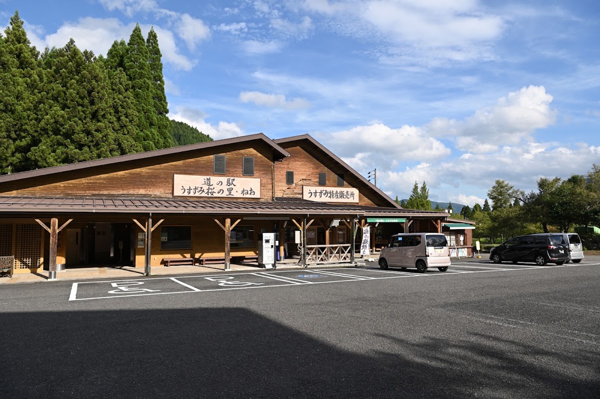 道之驛 薄墨櫻之里・根尾(道の駅 うすずみ桜の里・ねお) 實景照片 1