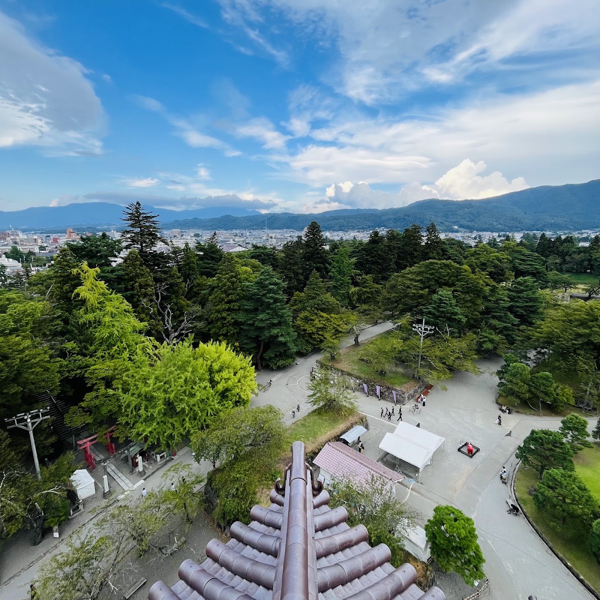空拍俯瞰綠意森林與城市風光