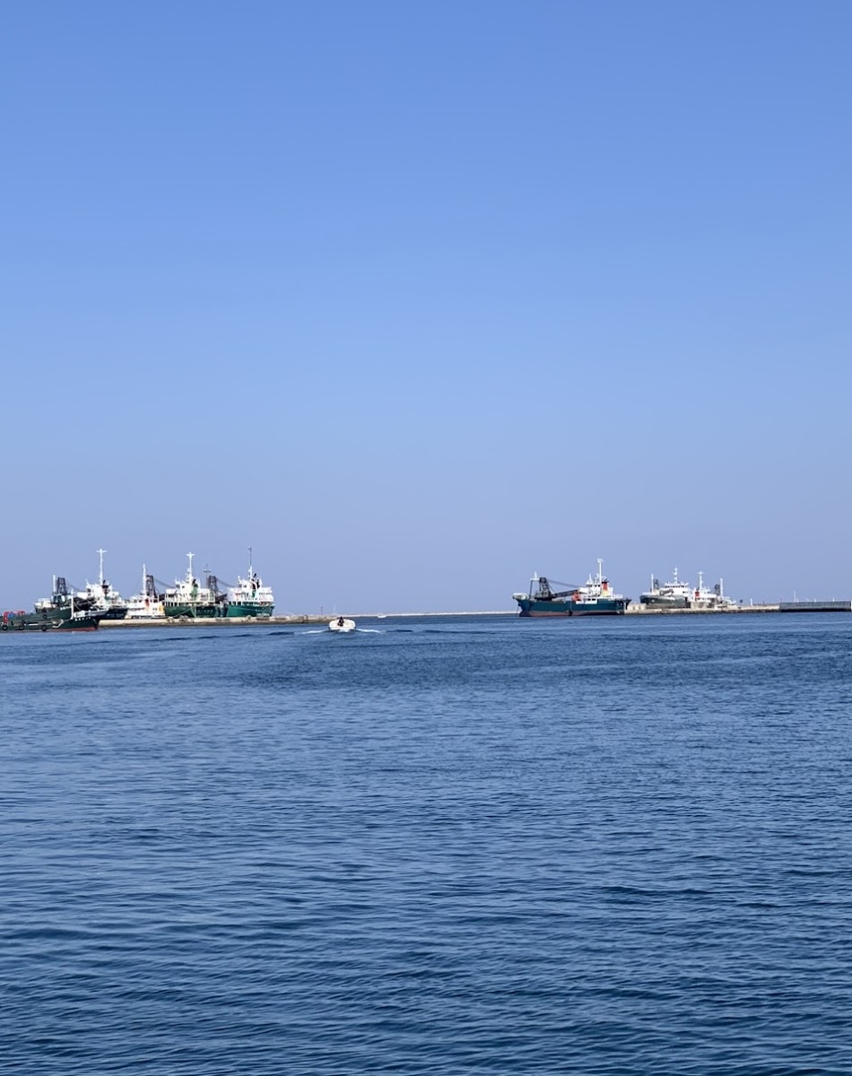 姬路家島海之驛(ひめじいえしま海の駅) 實景照片 6