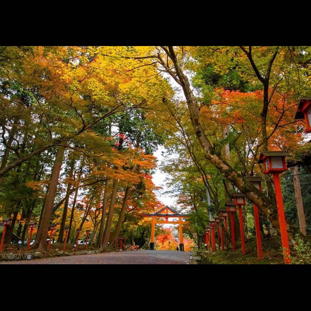 日吉大社 實景照片 9