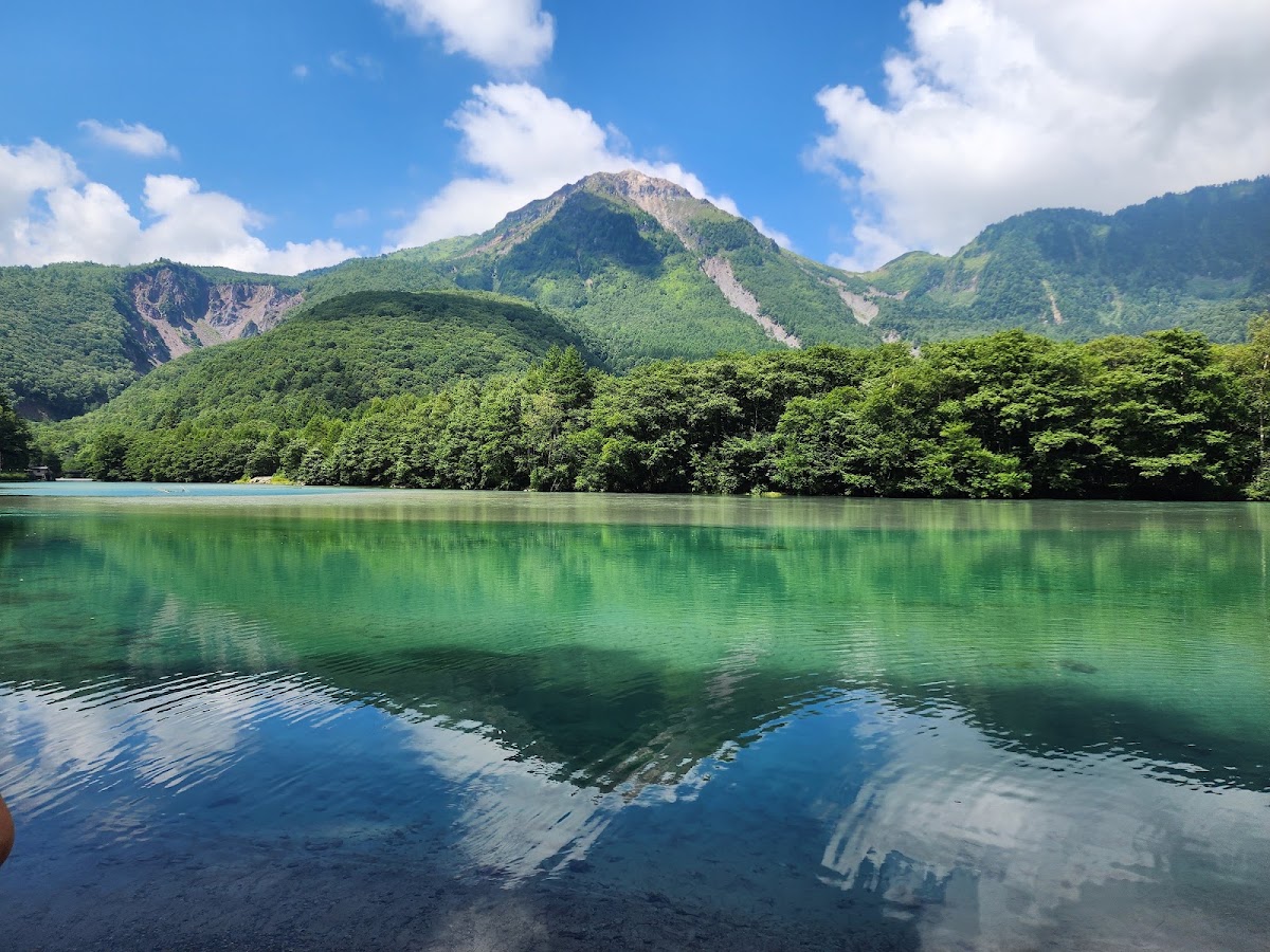 夏季翠綠大正池景觀