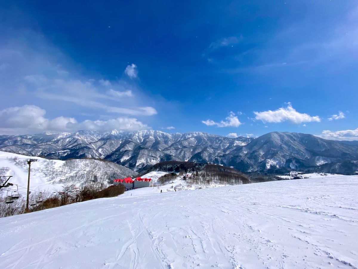 白馬科爾蒂納滑雪場(白馬コルチナスキー場) 實景照片 8
