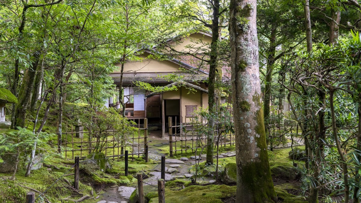 樹林間的日式茶屋建築