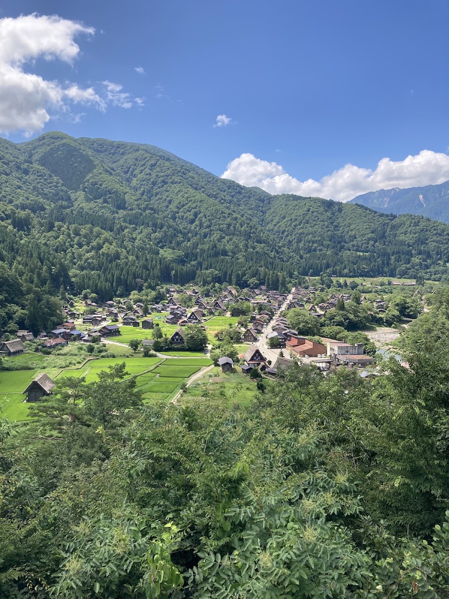 夏天綠意盎然的白川鄉展望台全景