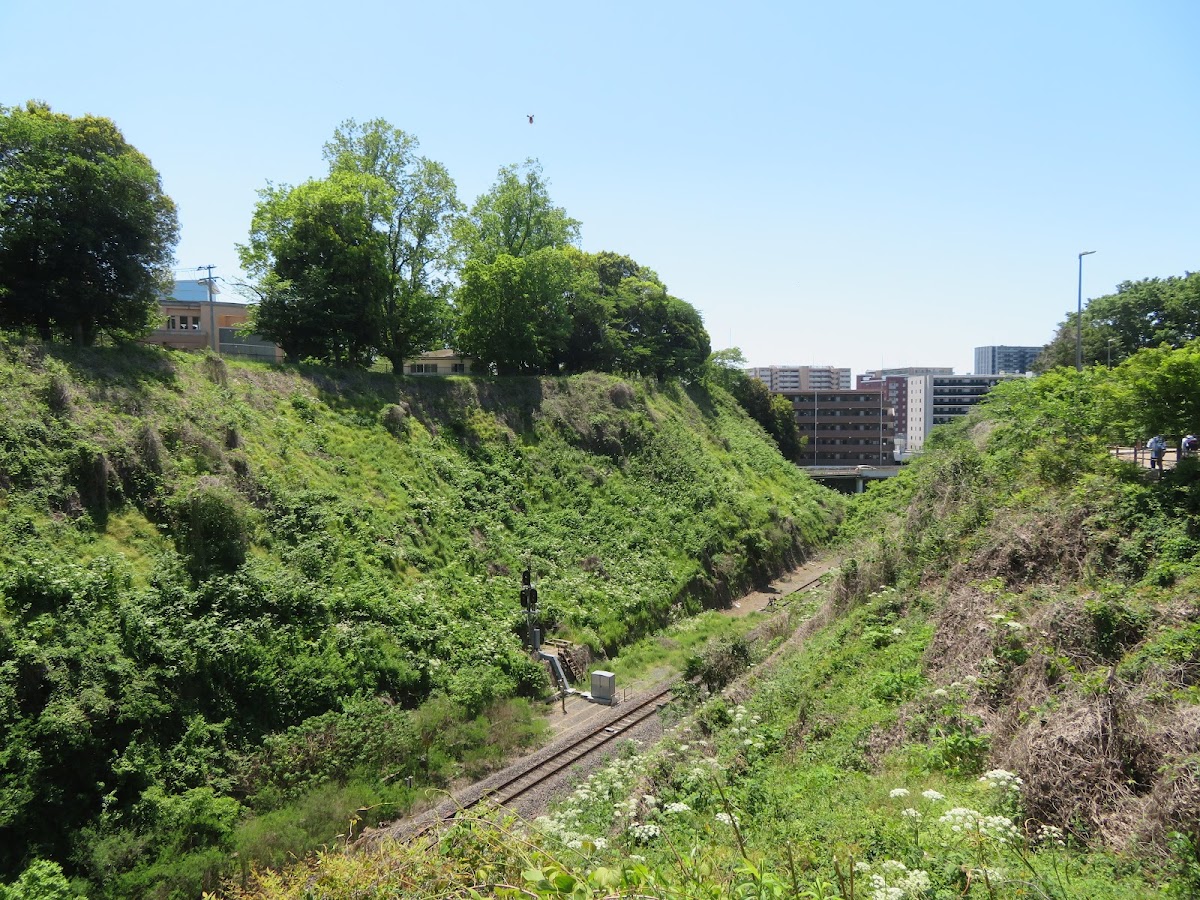 水戶城遺址的綠意護城河與鐵道景觀