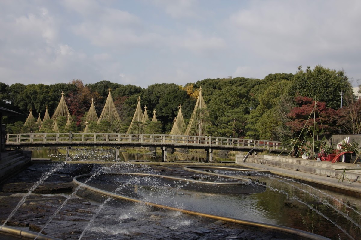 白鳥庭園 實景照片 4
