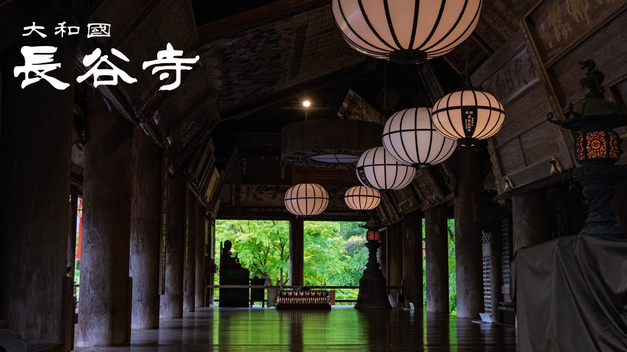 【雨中的長谷寺】奈良縣櫻井市|真言宗豐山派總本山|花之御寺長谷寺|觀音信仰的聖地