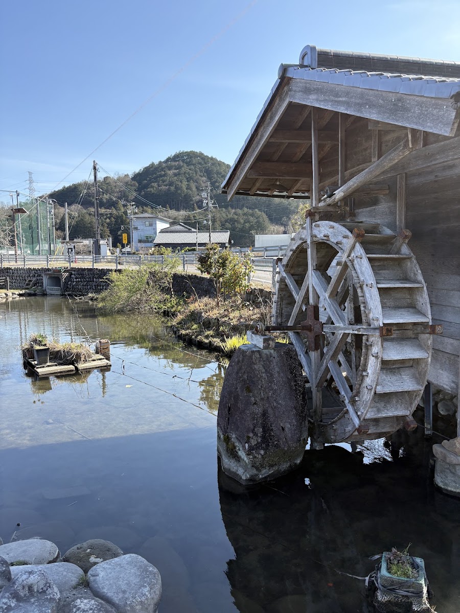 道之驛 むげ川（道の駅 むげ川） 實景照片 9