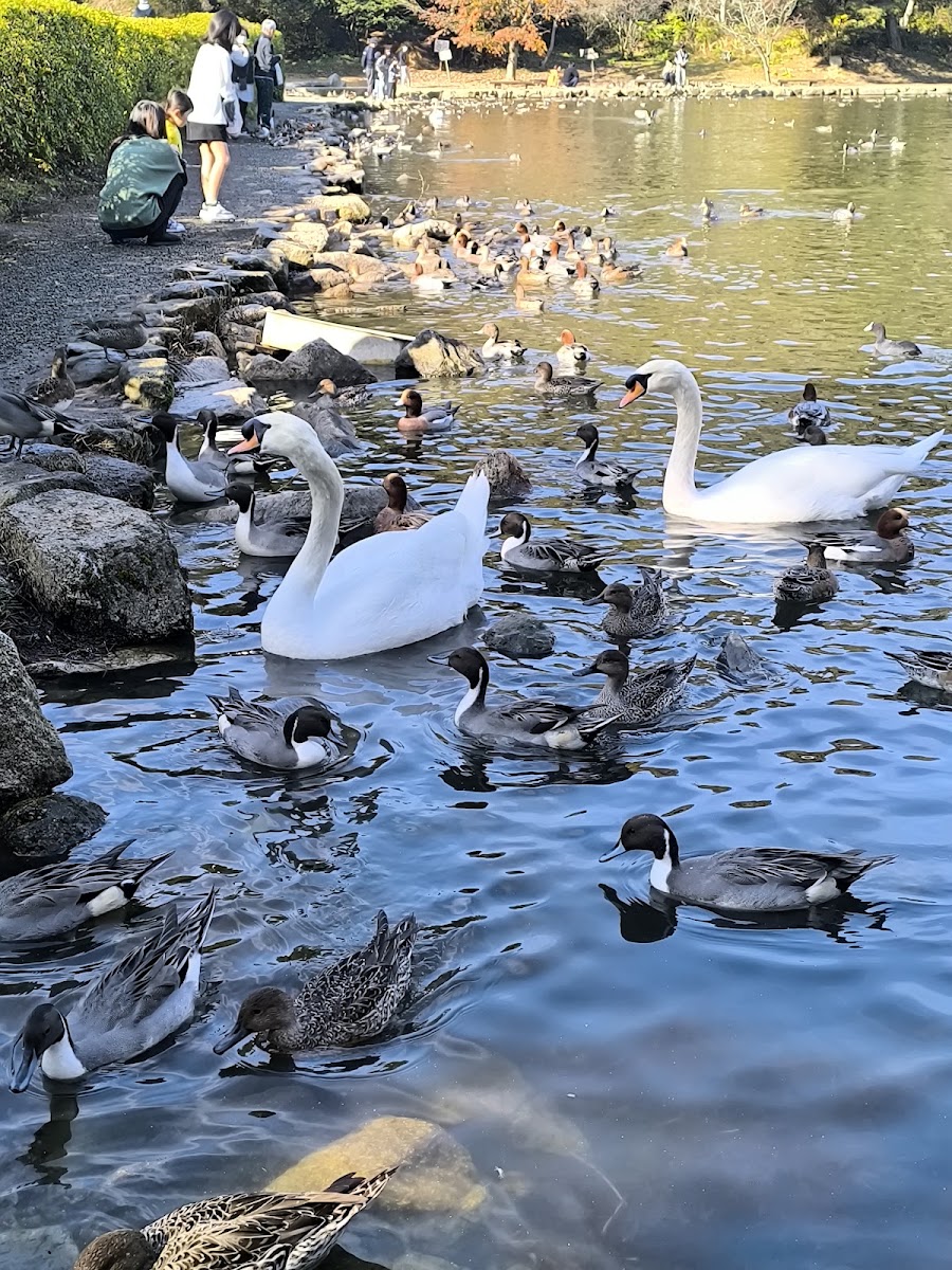道之驛 深山公園(道の駅 みやま公園) 實景照片 6